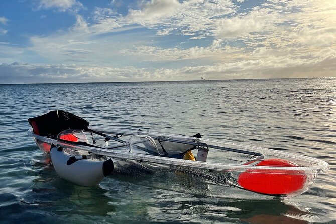 Clear Bottom Glassy Kayak Rental | MAUI | Safe and Stable Kayaks - Keep the Glass Clear: The Squeegee Tip That Saves the Day