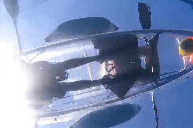 Clear Bottom Glassy Kayak Rental | MAUI | Safe and Stable Kayaks - Service Style: Friendly, Patient, and Not Rushed