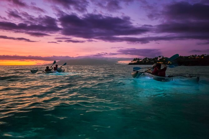 Clear Kayak Sunset and Glow Tour in Maui - How the LED glow changes what you see underwater
