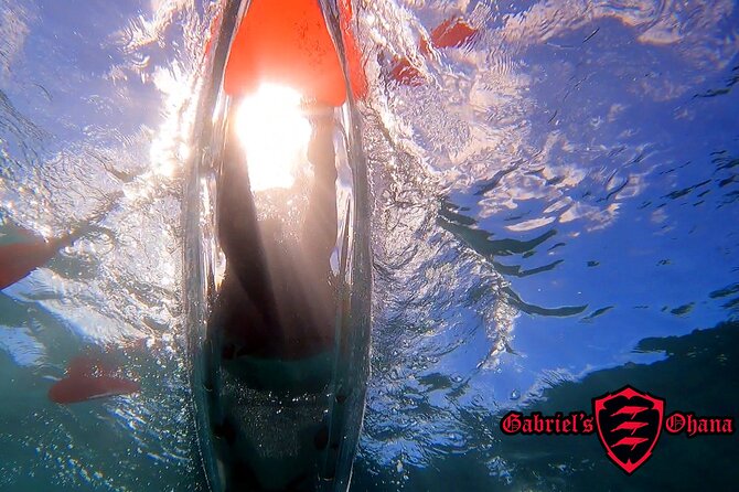 Clear Kayak Tour with Pontoons and Optional Snorkeling-Unlimited - Key Highlights You Will Actually Feel On The Water