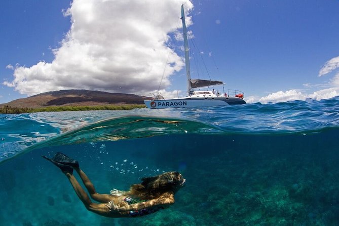 Coral Gardens Coastal Snorkel & Sail - Key highlights you should know
