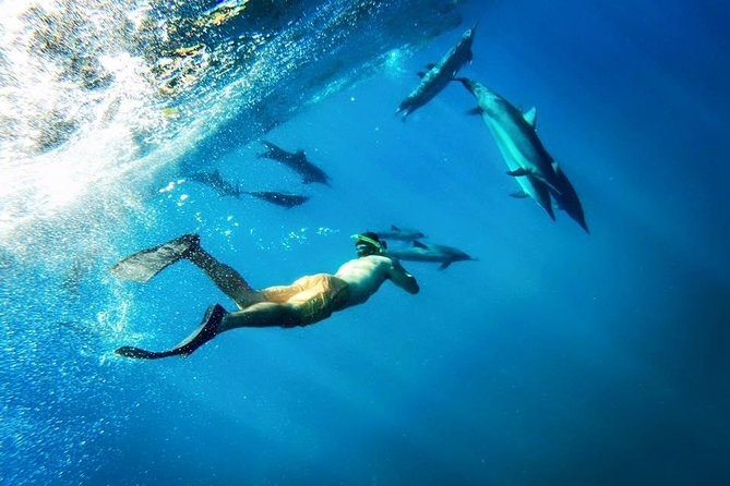 Coral Gardens Coastal Snorkel & Sail - Sail Maui’s Coral Gardens day plan, in plain terms