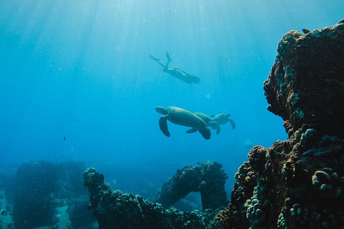 Coral Gardens Coastal Snorkel & Sail - Sailing experience: when you’re there for the boat, watch the winds