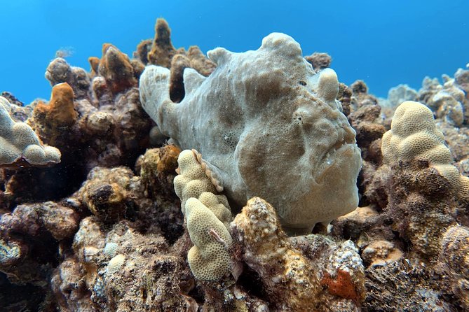 Custom Private Adventure - SCUBA and Intro SCUBA: what to expect on this charter