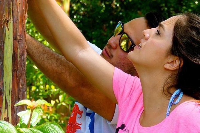 Deluxe Halfway to Hana: Private Tour from Kahului - Food on the Road to Hana: banana bread, local treats, and what to expect