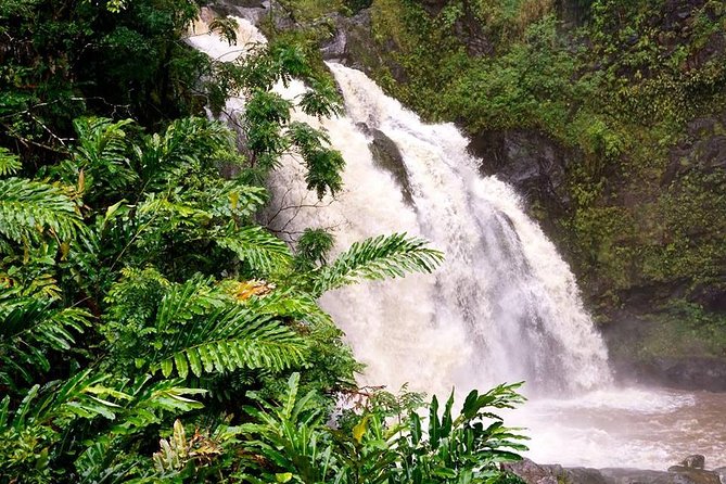 Deluxe Halfway to Hana: Private Tour from Kahului - Road reality check: narrow roads, rustic facilities, and car-sickness prevention
