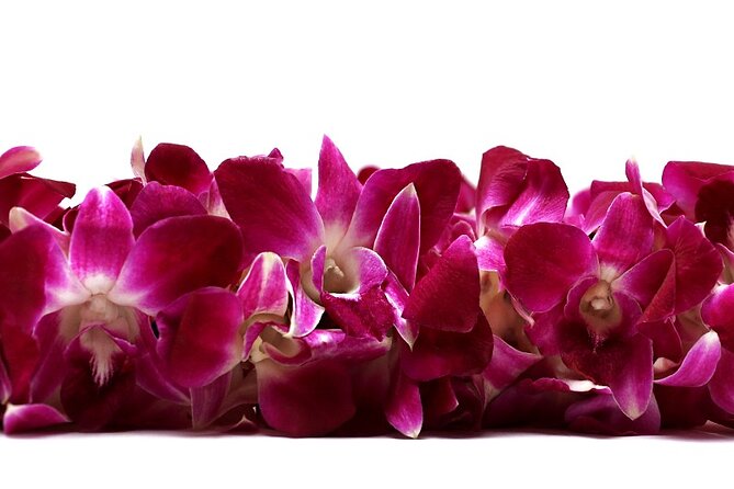 Deluxe Orchid Lei Greeting (Maui, Kahului Airport, OGG) - Key things to know before you land at OGG