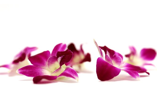 Deluxe Orchid Lei Greeting (Maui, Kahului Airport, OGG) - Who runs it and why locals matter for day one