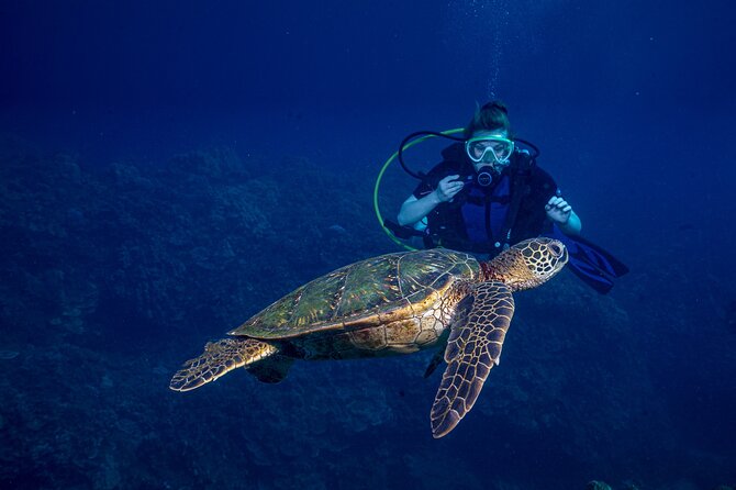 Discover Scuba Diving Class from Lahaina - First-time Scuba Skills in Lahaina, what the 3-hour session is really like