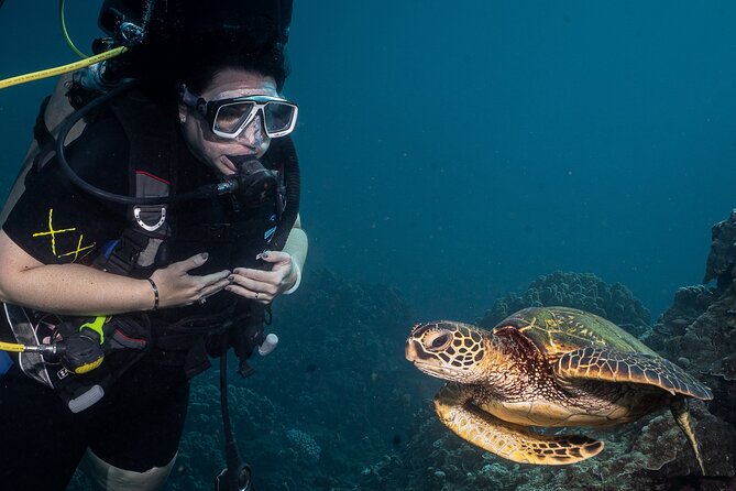 Discover Scuba Diving Class from Lahaina - PADI eLearning before you arrive, the prep that saves you time in the ocean