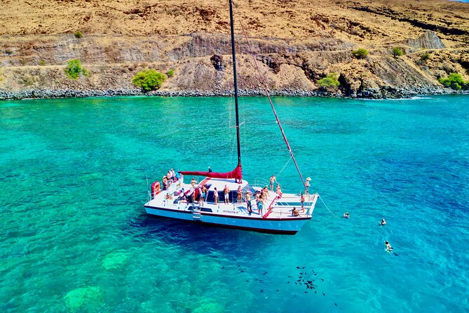 Discover the Magic of Coral Garden’s Turtle Town - Maalaea Harbor - Coral Garden Turtle Town from Maalaea Harbor: why this works