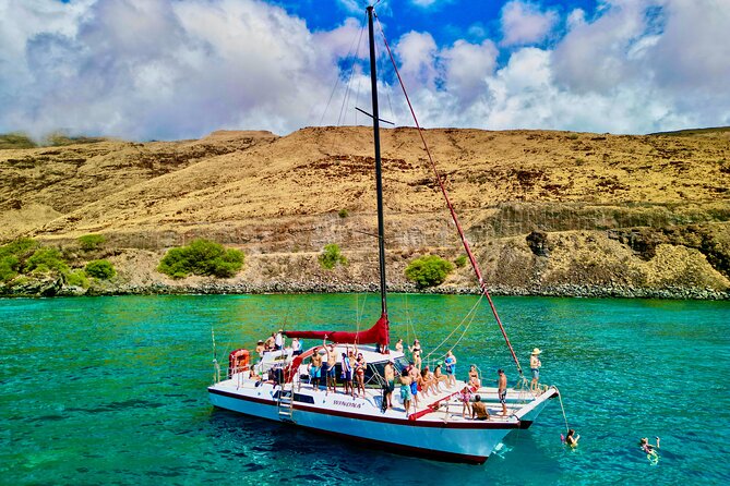 Discover the Magic of Coral Garden’s Turtle Town - Maalaea Harbor - Who should book, and who should think twice