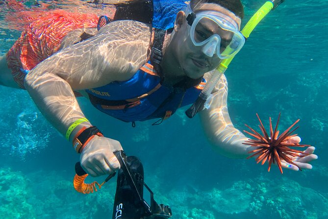 E-Scooter Snorkel With Photo and Video At Turtle Town - HD Photo and Video Upgrade: When It’s Worth It, and When to Confirm Details