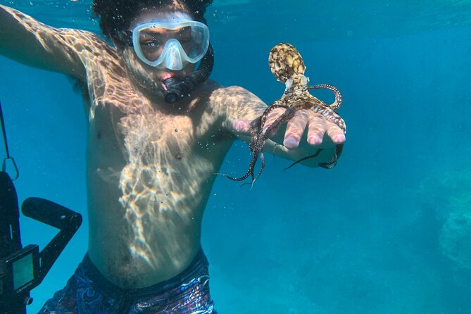 E-Scooter Snorkel With Photo and Video At Turtle Town - When Things Go Wrong: Scooter Tech Hiccups and How to Protect Your Day