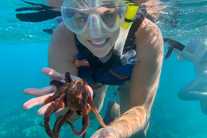 E-Scooter Snorkel With Photo and Video At Turtle Town - The Turtle Town Snorkel Hour: Animals, Up Close Moments, and a Guide Who Stays With You