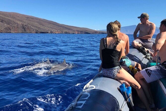 Eco-Raft Tour: Maui-Lanai Snorkel / Dolphin Watch (Semi-Private) - Dolphins and narration: what you can realistically expect