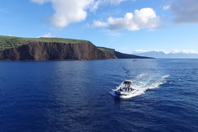 Eco-Raft Tour: Maui-Lanai Snorkel / Dolphin Watch (Semi-Private) - Choosing your tour: combo snorkel-whale, snorkel-only, or dolphin watch