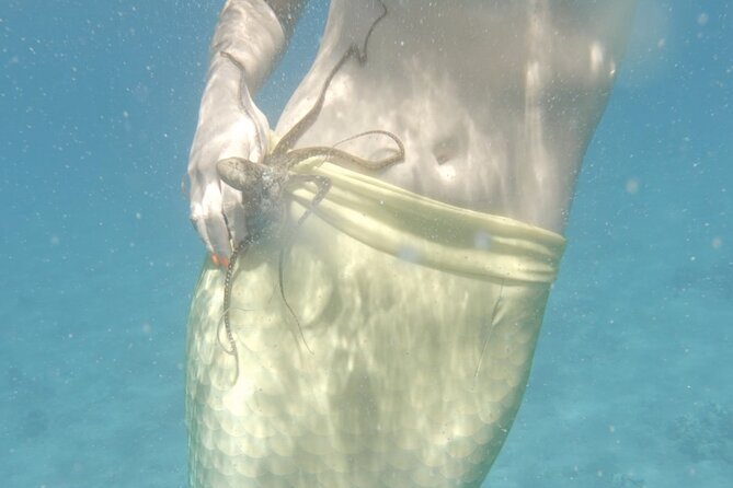 Eco Sea Scooter Beach Entry - Rent a GoPro Video tape Sea Turtles - Mermaid Tails, Shirts, and the Group Size Advantage