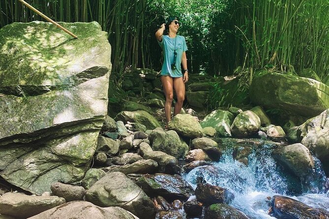 Epic Waterfall Adventure, the Best of Maui - Price and value: what $158.47 buys you on Maui