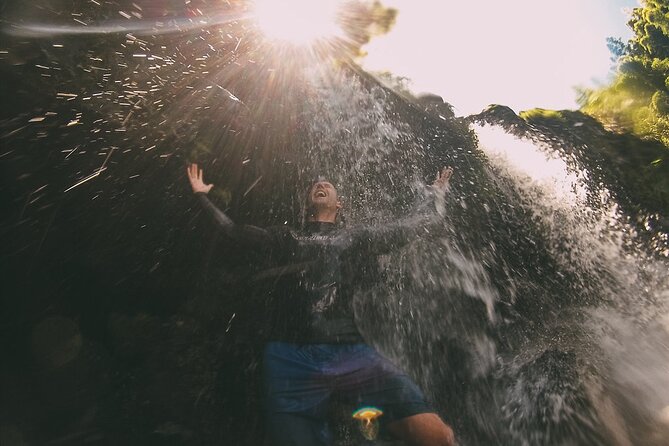 Epic Waterfall Adventure, the Best of Maui - The Hana Highway hike: bamboo jungle to multiple swim stops