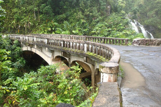 Famous Road to Hana Waterfalls, Black Sand Beach & Lunch - Ho’okipa Beach Park: surfers, wind, and the turtle factor
