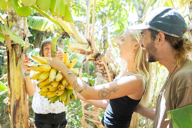 Farm to Taco: A Farm to Table Cooking Class - Farm-to-Taco on Maui: What makes this class click