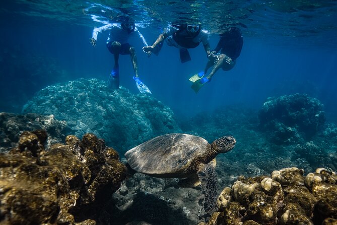 First Timers and Non-Swimmers Snorkeling Experience in Wailea - Practical tips to make your first snorkel smooth