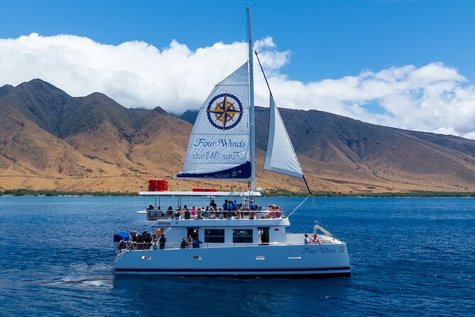 Four Winds Maui Afternoon Snorkel Tour to Coral Gardens - Snorkel stops: Four Winds first, then Coral Gardens