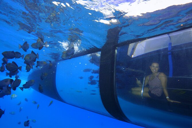 Four Winds Maui Afternoon Snorkel Tour to Coral Gardens - Safety, comfort, and the “windy day” reality