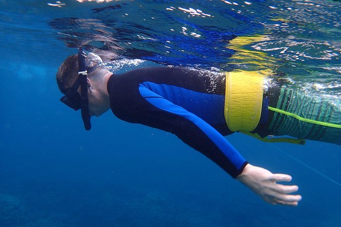 Four Winds Molokini Snorkeling Tour from Maalaea Harbor - Entering the Maalaea Harbor routine without stress