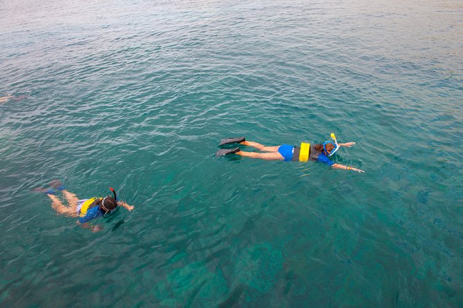 Four Winds Molokini Snorkeling Tour from Maalaea Harbor - The glass-bottom viewing room: seeing fish even if you skip snorkeling