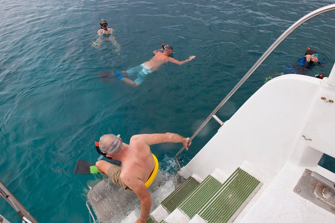 Four Winds Molokini Snorkeling Tour from Maalaea Harbor - Whale watching in season: extra wildlife on the way