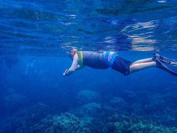 Four Winds Molokini Snorkeling Tour from Maalaea Harbor - Optional add-ons: SNUBA and underwater photography