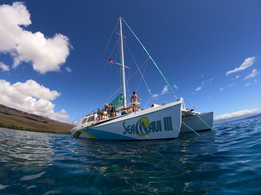 From Ka'anapali: West Maui Half-Day Snorkel Tour w/ Food - Snorkeling with honu and reef fish where conditions are best