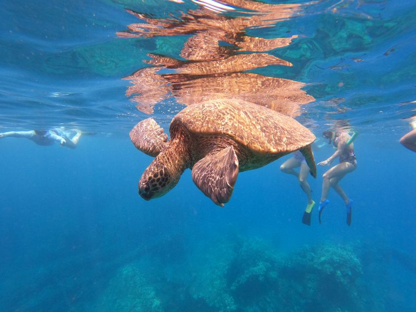 From Ka'anapali: West Maui Half-Day Snorkel Tour w/ Food - Breakfast on deck, then the captain hunts for dolphins
