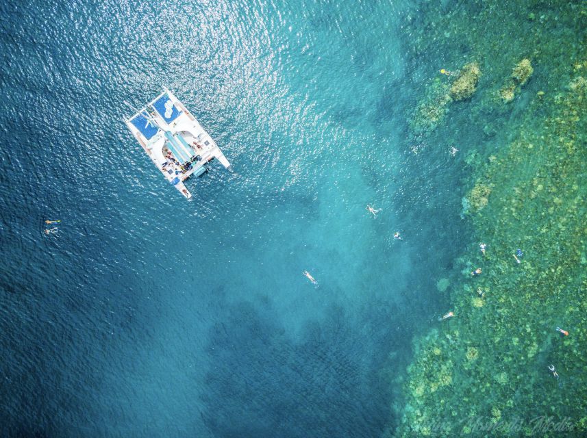 From Kaanapali: Afternoon West Maui Snorkeling w/ Drinks - Snorkeling West Maui coral: turtles, fish, and tide surprises