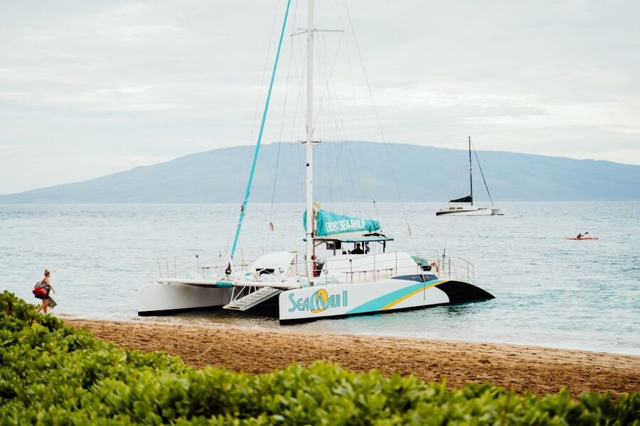 From Kaanapali: Afternoon West Maui Snorkeling w/ Drinks - Onboard food and open bar: why it feels like a real outing