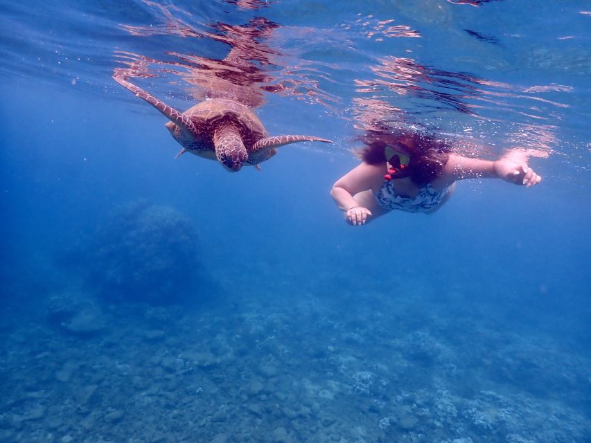From Kihei: Molokini Crater and Turtle Town Snorkeling - Price and value: why $179 can make sense for this exact combo