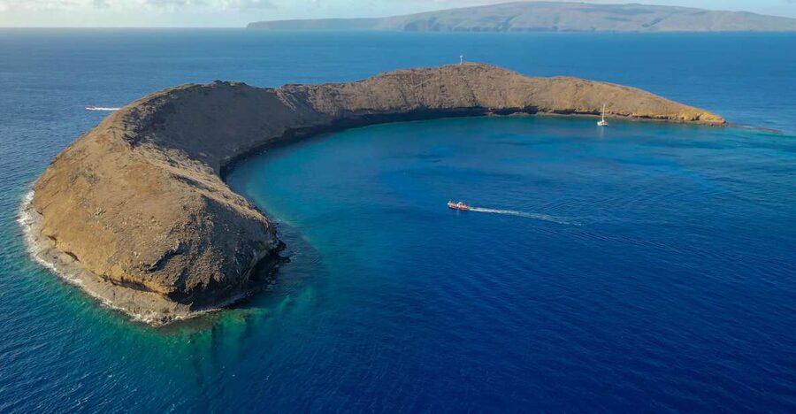 From Kihei: Molokini Crater and Turtle Town Snorkeling - Turtle Town (Makena Bay): honoring honu with calm, patient swimming