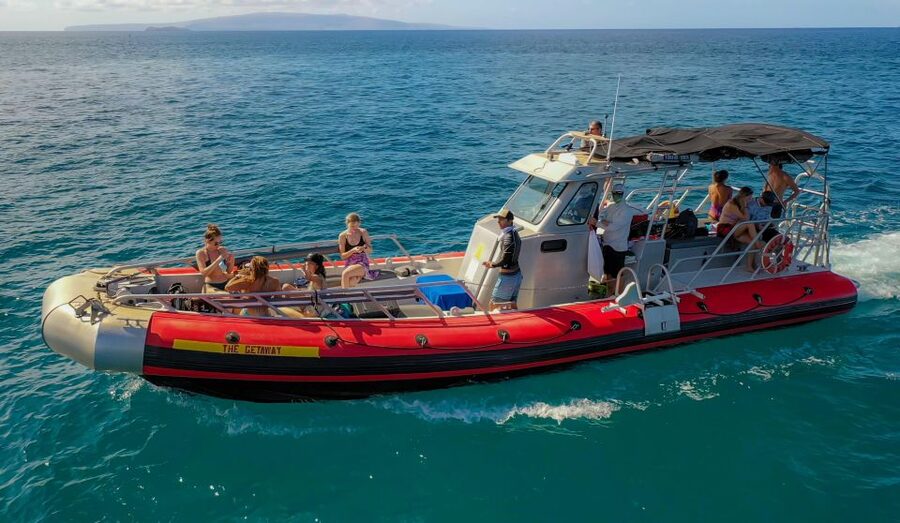 From Kihei: Molokini Crater and Turtle Town Snorkeling - Food, water, and the break that actually helps you snorkel better