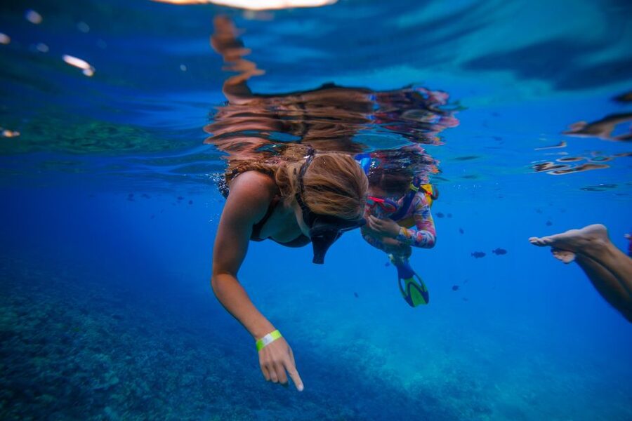 From Kihei: Molokini Crater and Turtle Town Snorkeling - Seasickness and medical limits: this one is not for everyone