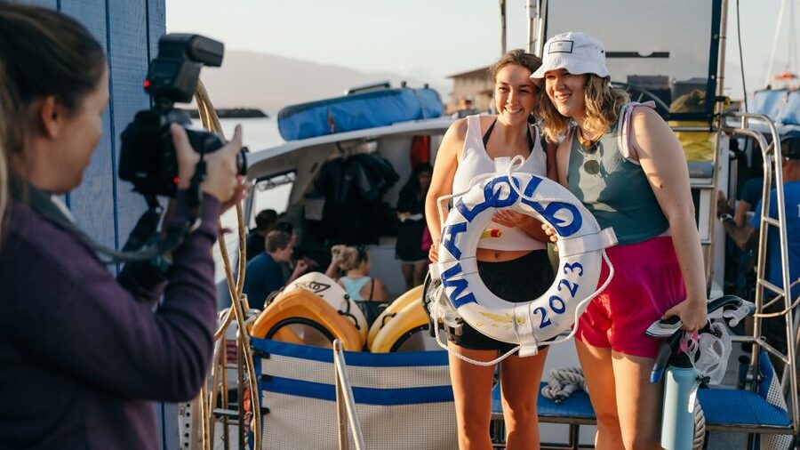 From Ma'alaea: Afternoon Whale Watch Tour Aboard the Malolo - Should you book the Malolo afternoon whale watch?
