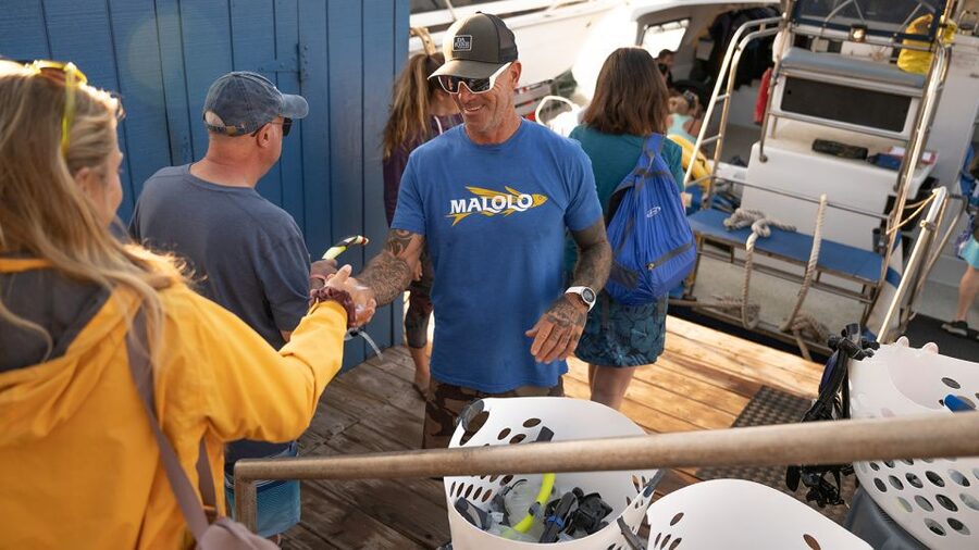 From Ma'alaea: Afternoon Whale Watch Tour Aboard the Malolo - Slip 87 check-in at Boss Frog’s, then out to Maalaea Bay