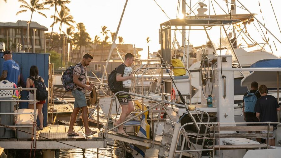 From Ma'alaea: Afternoon Whale Watch Tour Aboard the Malolo - Hydrophones and whale songs: the part that makes listening possible