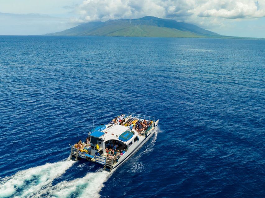 From Ma'alaea: Afternoon Whale Watch Tour Aboard the Malolo - Price and onboard budget: is $59 good value?