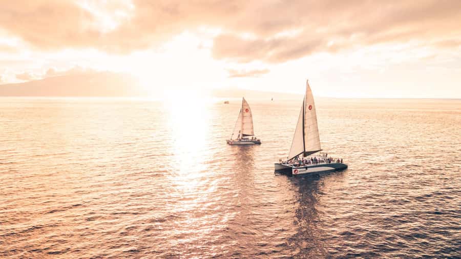 From Ma'alaea: 'Alihilani Sunset Sail Catamaran Tour - Who this sunset sail is perfect for, and who should skip it