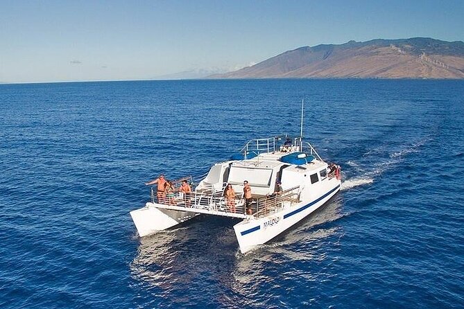 From Ma'alaea Harbor: Sunset Whale Watch Tour Aboard the Malolo - Quick take: what stands out on the Malolo sunset whale watch