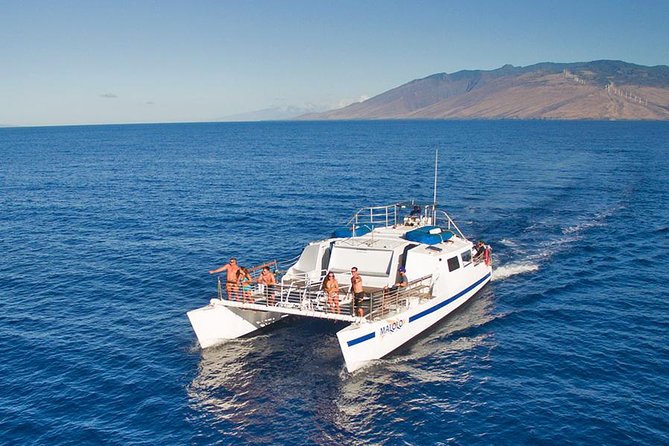 From Ma'alaea Harbor: Whale Watch Cruise Aboard the Malolo - Ma’alaea to the Open Ocean: Why This Route Makes Sense