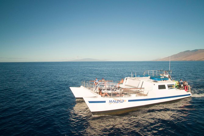 From Ma'alaea Harbor: Whale Watch Cruise Aboard the Malolo - Listening to Whale Songs Through Hydrophones