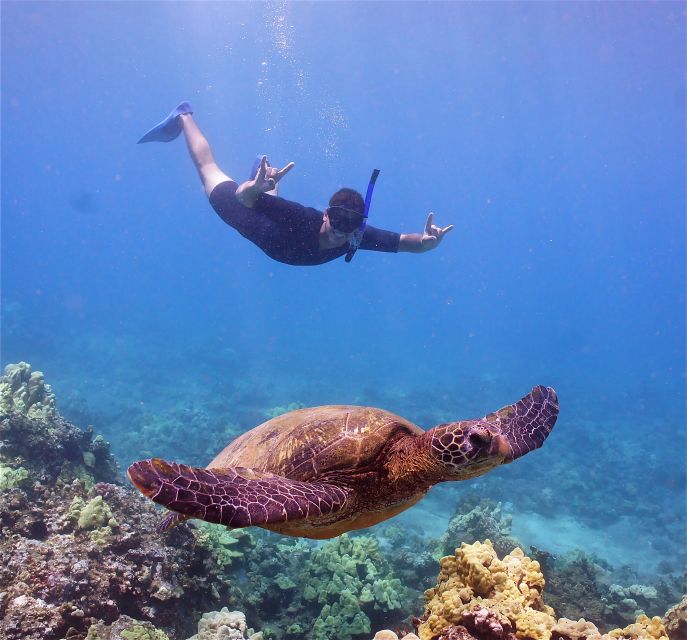 From Ma'alaea: Turtle Town Snorkel aboard Quicksilver - A 4.5-Hour Quicksilver Snorkel That Packs Reef Time and Ocean Watching